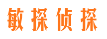 大姚市私家侦探